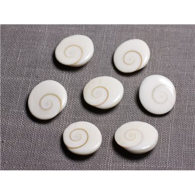 1pc - Cabochon Coquillage Oeil Sainte Lucie Shiva Ovale 19-20mm - 4558550095411 