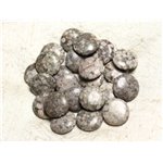 4pc - Perles de Pierre - Jaspe Océan Fossile Palets 18mm -  4558550039774 