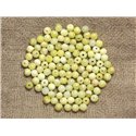 20pc - Perles de Pierre - Jade Citron Boules 4mm Jaune et Blanc  4558550035271 