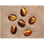 Cabochon de Pierre - Oeil de Tigre - Ovale 20x15mm  4558550031990