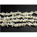 130pc environ - Perles Rocailles Chips de Nacre Blanche irisée 5-15mm - 4558550035905 