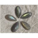 Cabochon de Pierre - Labradorite - Goutte 15 x 7 mm  4558550036070