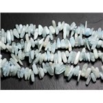 Fil 39cm 130pc env - Perles de Pierre - Aigue Marine Rocailles Chips Batonnets 12-20mm 