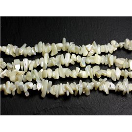 Hilo 89cm aprox 250pc - Perlas de perlas de semillas de nácar blanco 5-15mm 