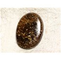 N29 - Cabochon de Pierre - Bronzite Ovale 40mm - 4558550087171 