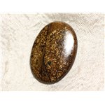 N35 - Cabochon de Pierre - Bronzite Ovale 39mm - 4558550087232 