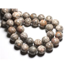 Thread 39cm 27pc approx - Stone Beads - Fossil Ocean Jasper Balls 14mm 