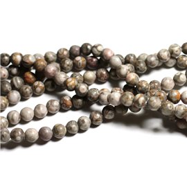 Thread 39cm 46pc approx - Stone Beads - Fossil Ocean Jasper Balls 8mm 