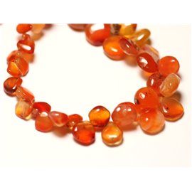 Thread 19cm 48pc approx - Stone Beads - Carnelian gradient drops 5-11mm N6 - 8741140022843