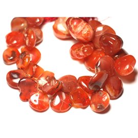 Thread 22cm 38pc approx - Stone Beads - Carnelian gradient drops 12-20mm N8 - 8741140022867