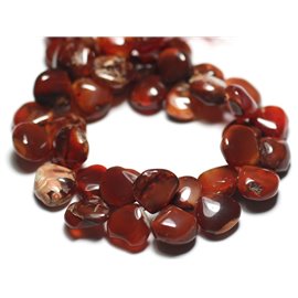 Thread 20cm 42pc approx - Stone Beads - Carnelian gradient drops 7-12mm N9 - 8741140022874