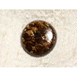 N1 - Cabochon in pietra - Bronzite rotondo 21 mm - 4558550086891